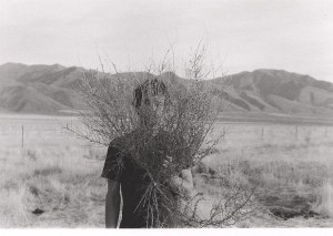 Ghost to Falco_behind_tumbleweed