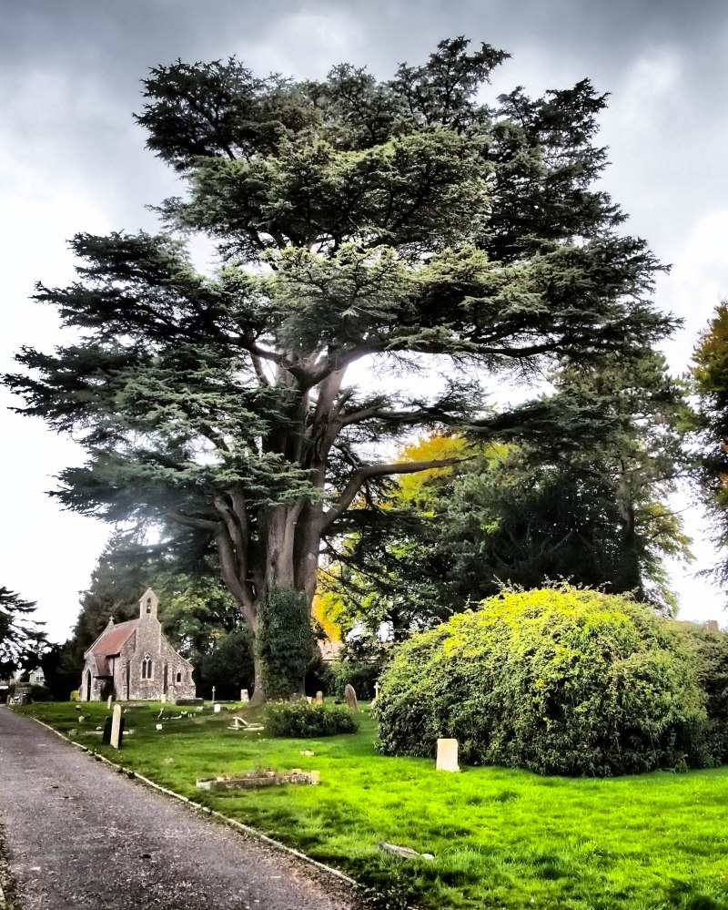 Devizes Road Cemetery